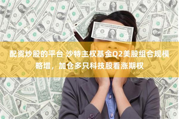 配资炒股的平台 沙特主权基金Q2美股组合规模略增，加仓多只科技股看涨期权