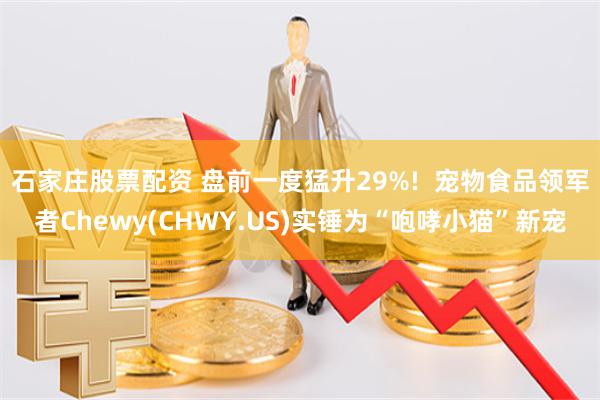 石家庄股票配资 盘前一度猛升29%!  宠物食品领军者Chewy(CHWY.US)实锤为“咆哮小猫”新宠