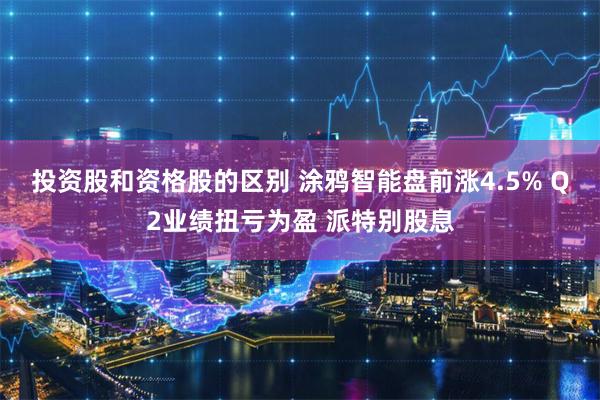 投资股和资格股的区别 涂鸦智能盘前涨4.5% Q2业绩扭亏为盈 派特别股息