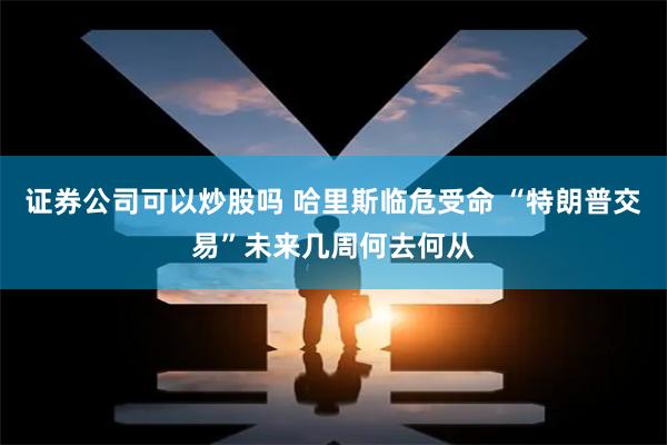 证券公司可以炒股吗 哈里斯临危受命 “特朗普交易”未来几周何去何从