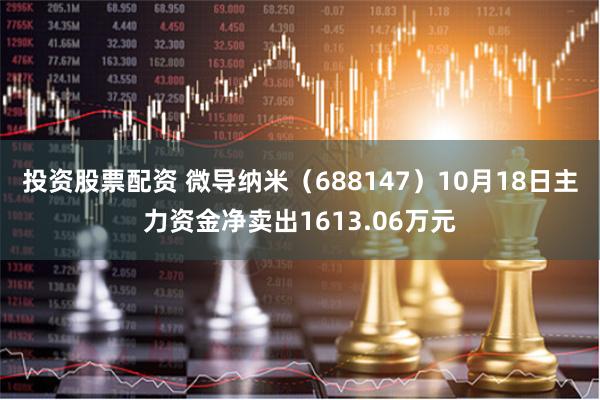 投资股票配资 微导纳米（688147）10月18日主力资金净卖出1613.06万元